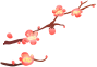 塔孜 | 新年伊始，萬象更新，1月啟動(dòng)大會(huì)圓滿落幕！